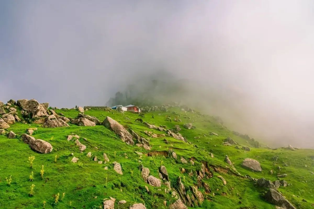 Cloud rolling across a green meadow ridge above the Kangra valley, with a stone hut and animals grazing on the crest.